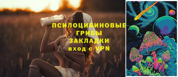 ECSTASY Богданович