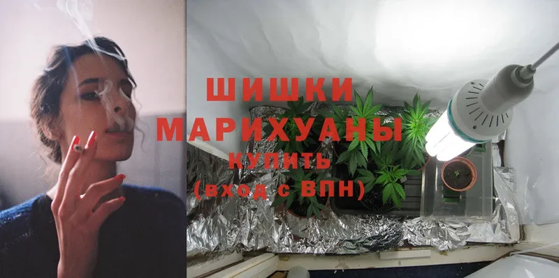 МАРИХУАНА THC 21%  Новоалександровск 